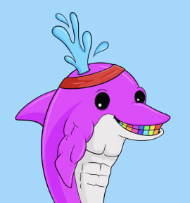 dolphin card
