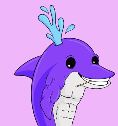 dolphin card
