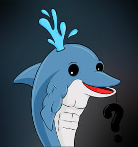 dolphin card