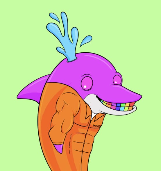 dolphin card