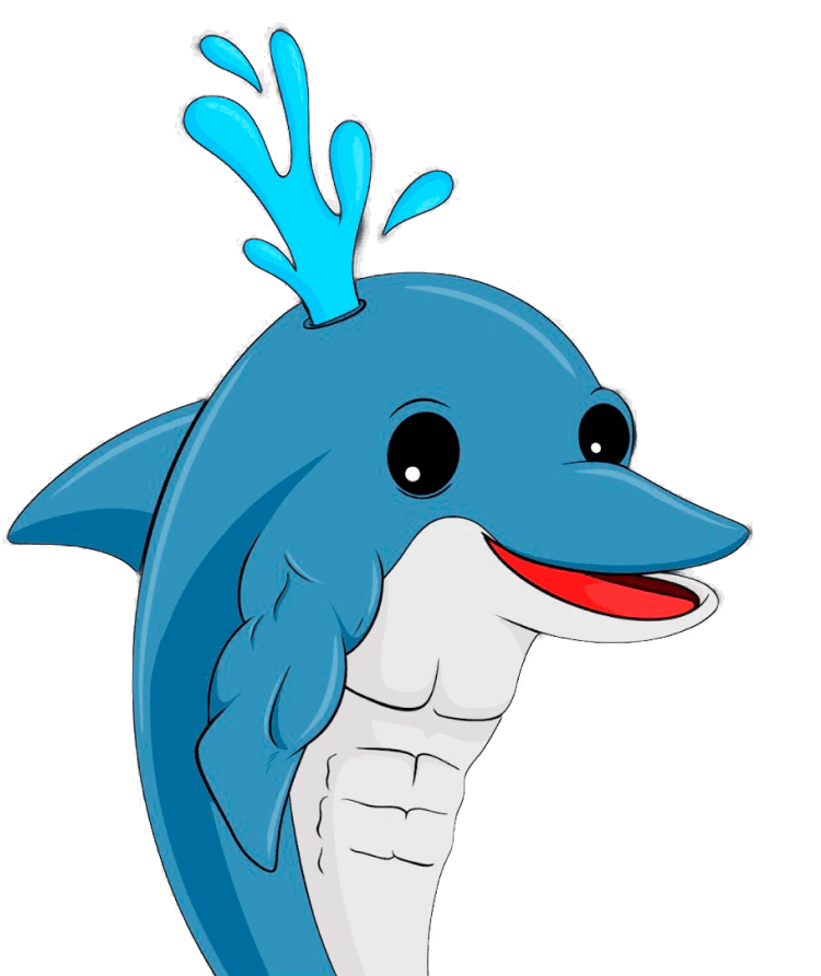 dolphin